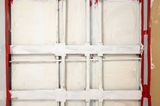 Biohazard Mold Removal in Anchorage, KY