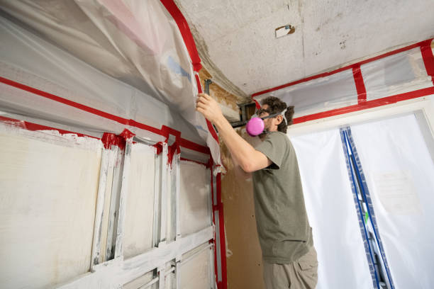 Mold Documentation for Insurance Claims in Anchorage, KY