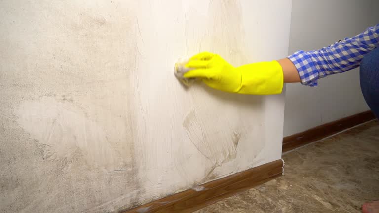 Best Post-Construction Mold Inspection  in Anchorage, KY