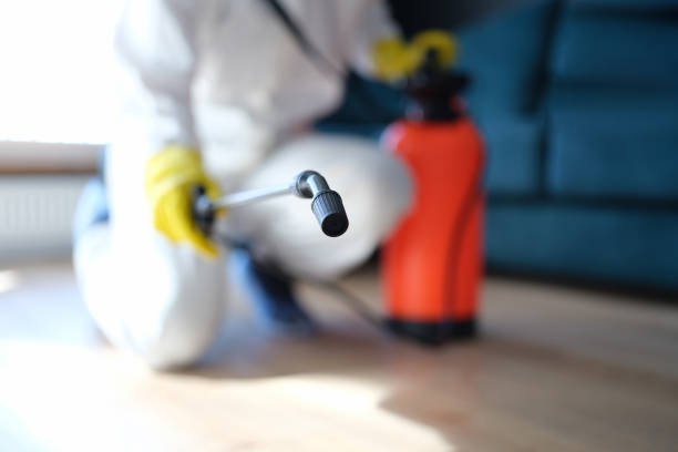 Trusted Anchorage, KY Mold Removal Experts