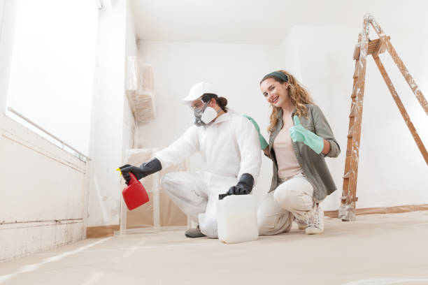  Anchorage, KY Mold Removal Pros